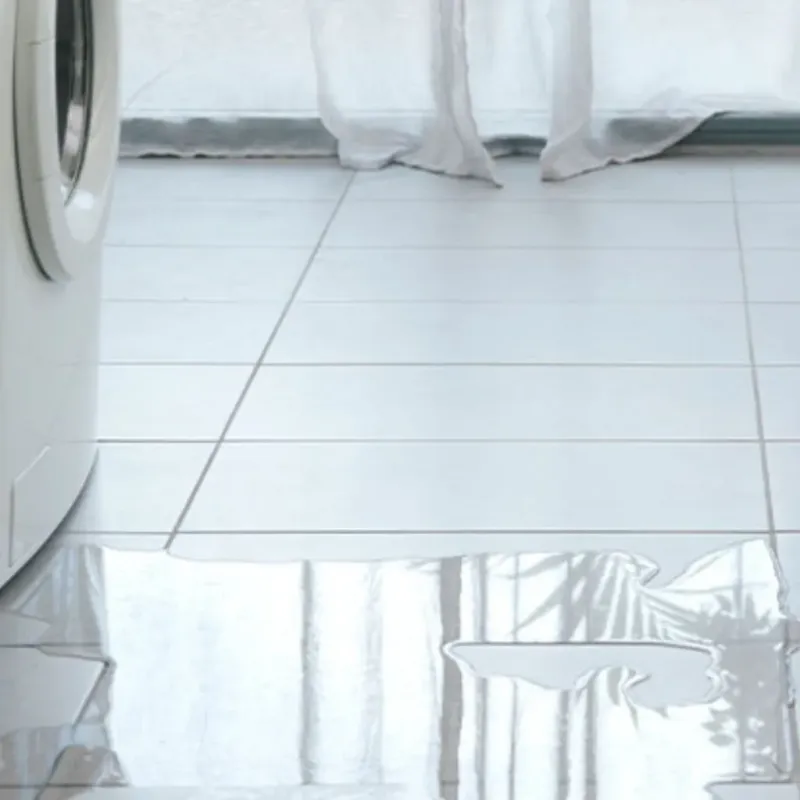 Appliance Leak Cleanup in Evansburg, PA
