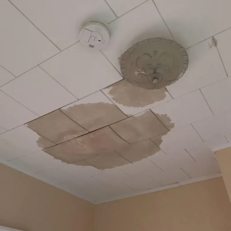 Ceiling Water Damage Repair in Evansburg, PA