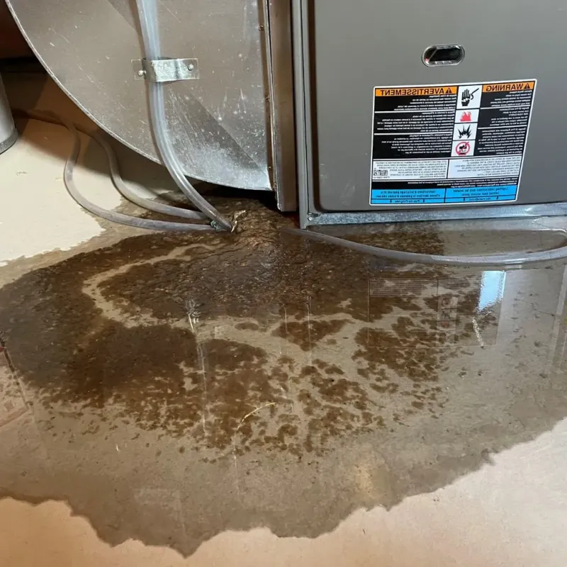 Pipe Burst and Leak Restoration in Evansburg, PA