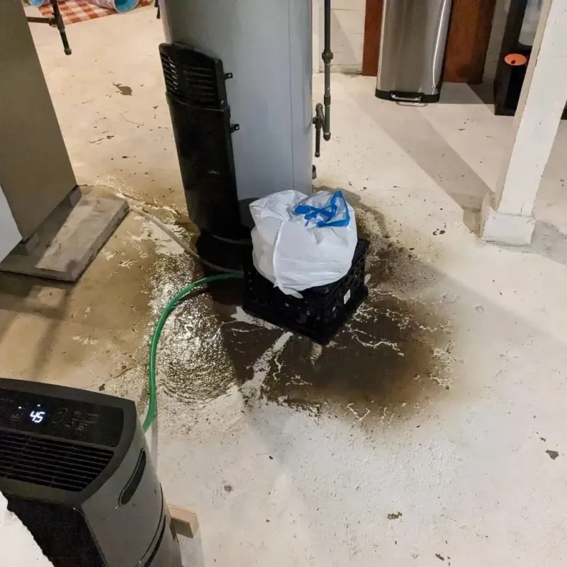 Sewage Backup Cleanup Service in Evansburg, PA